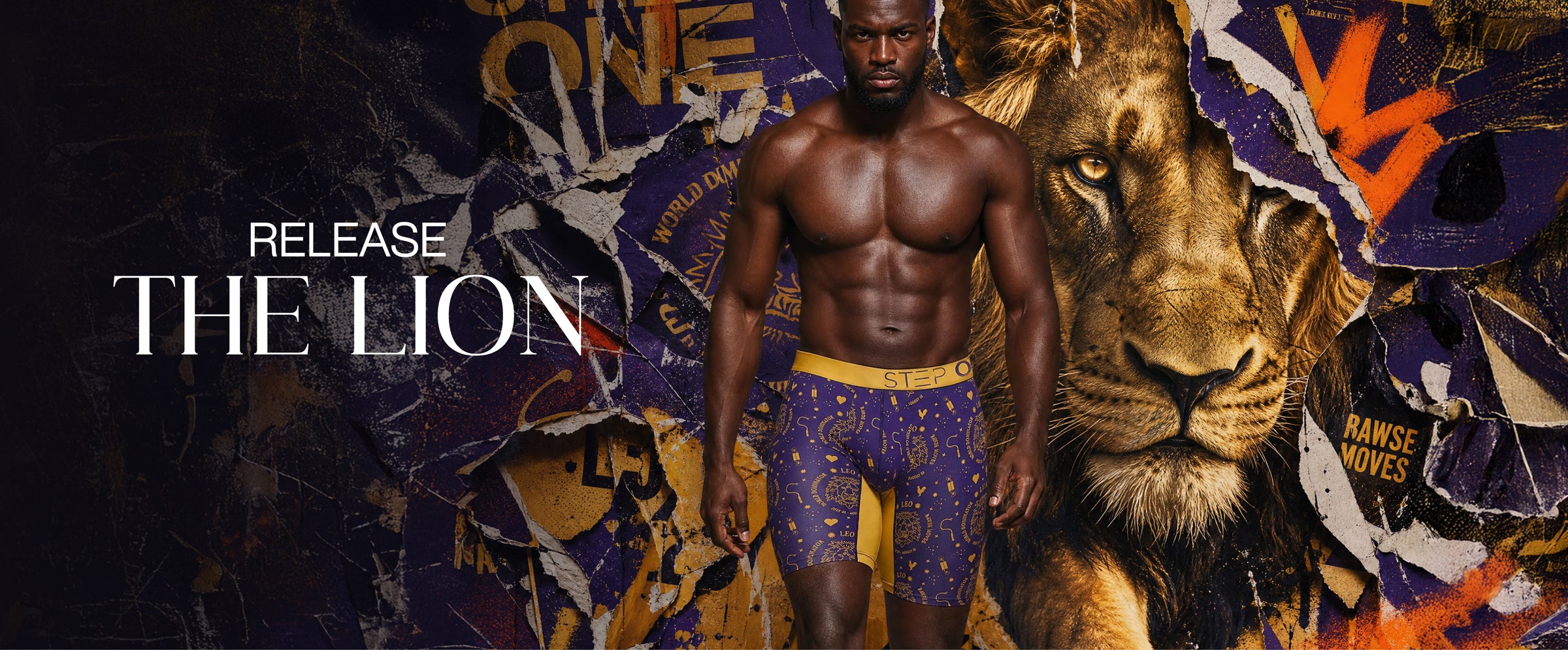 leo themed boxer briefs
