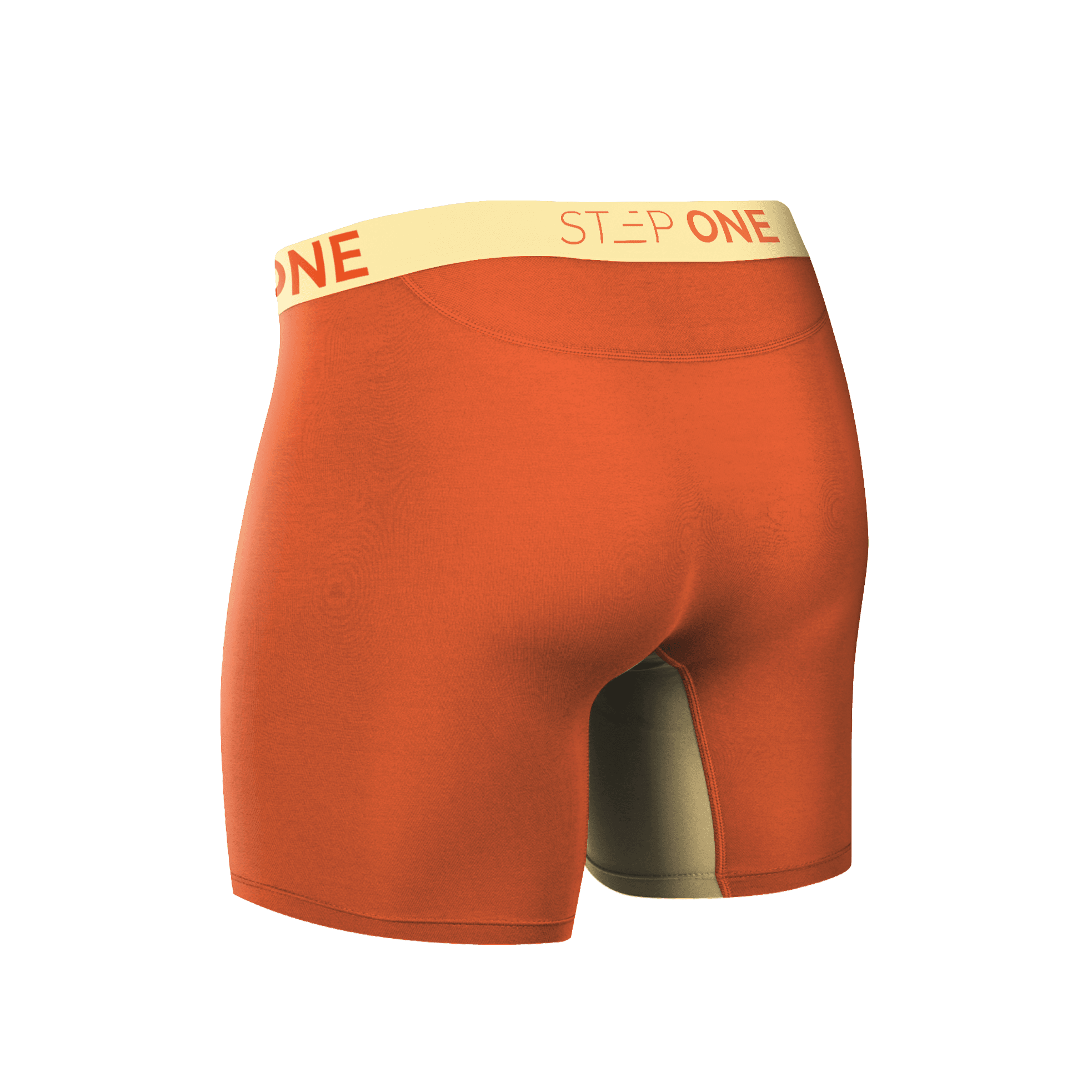 Boxer Brief - Donald Trunks - View 2