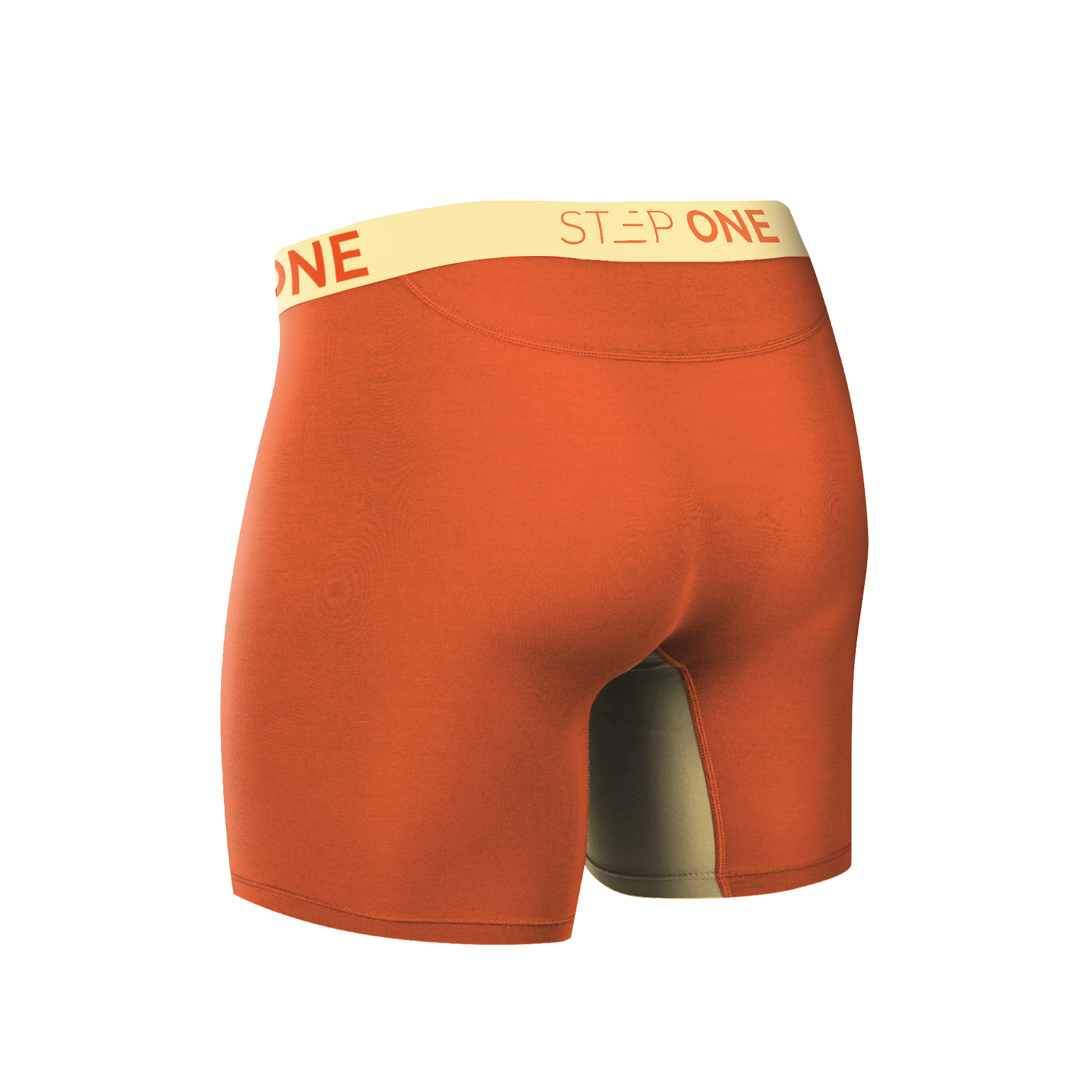 Boxer Brief - Donald Trunks - View 2